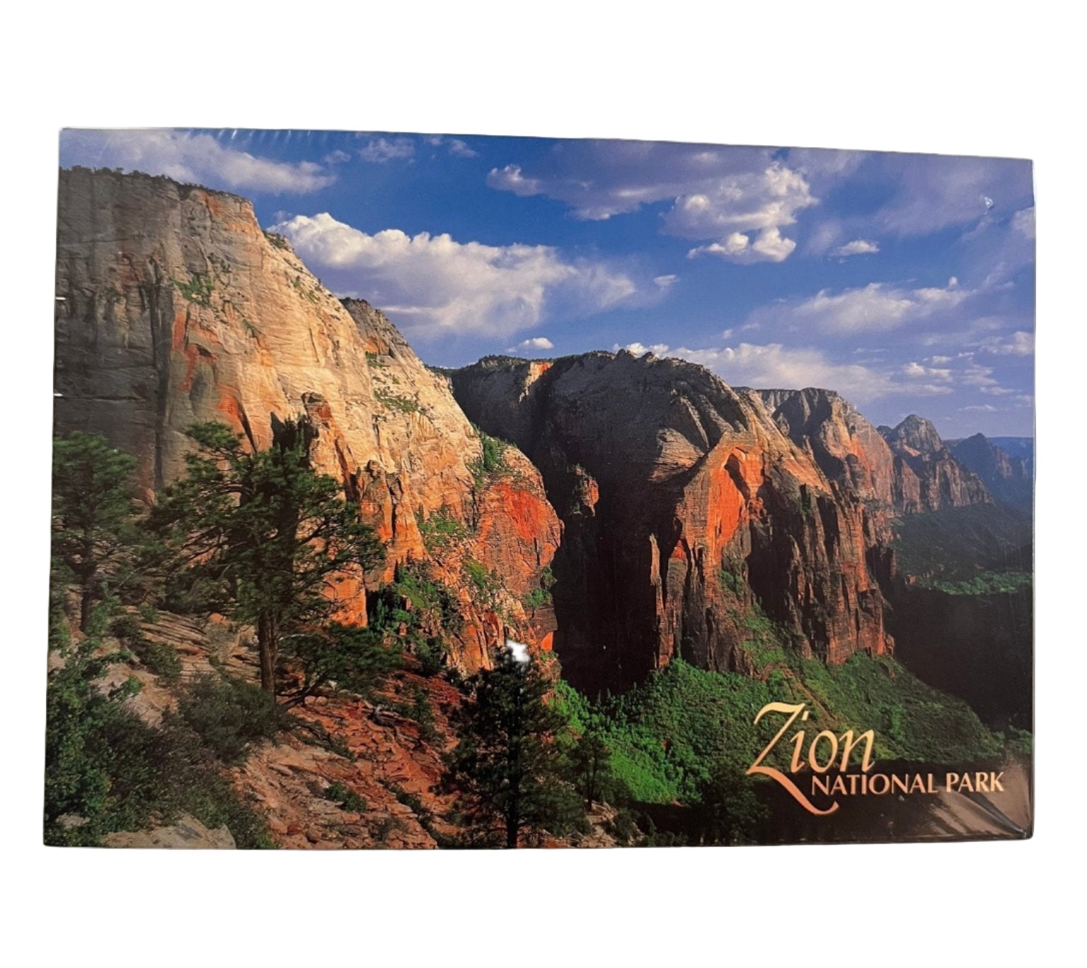 Postcard - 4X6 Impact - Zion Natl Park Forever Project