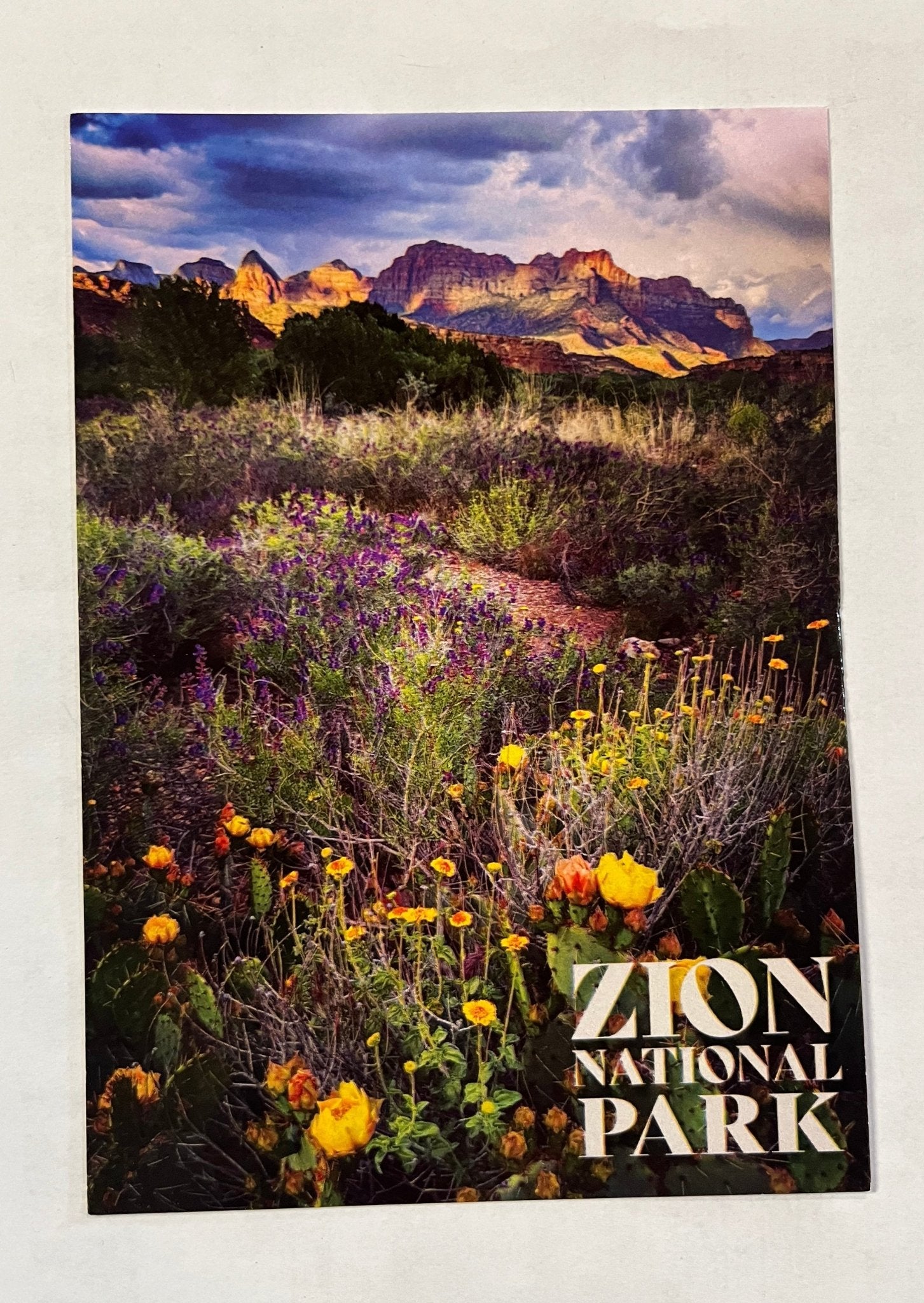 Postcard - 4X6 Impact - Zion Natl Park Forever Project