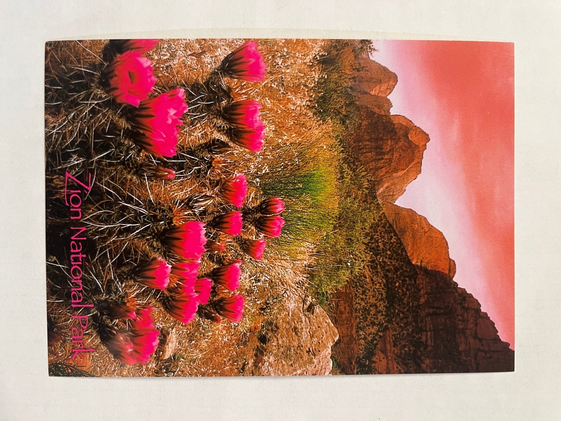 Postcard - 4X6 Impact - Zion Natl Park Forever Project