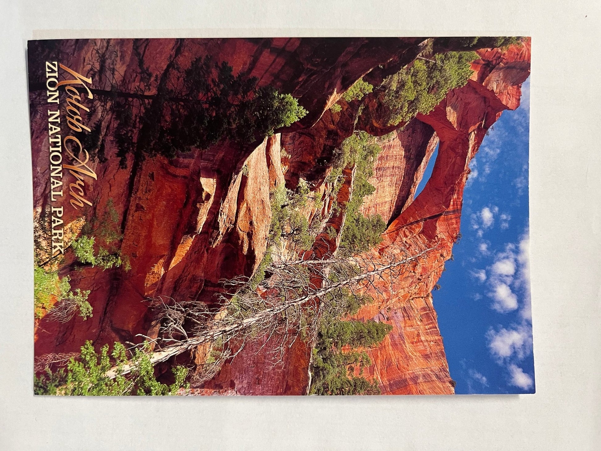 Postcard - 4X6 Impact - Zion Natl Park Forever Project