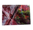 Postcard - 4X6 Impact - Zion Natl Park Forever Project