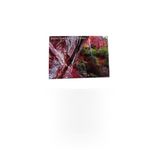Impact Photographics 4x6 VA postcard featuring vibrant photographic artwork on glossy paper.