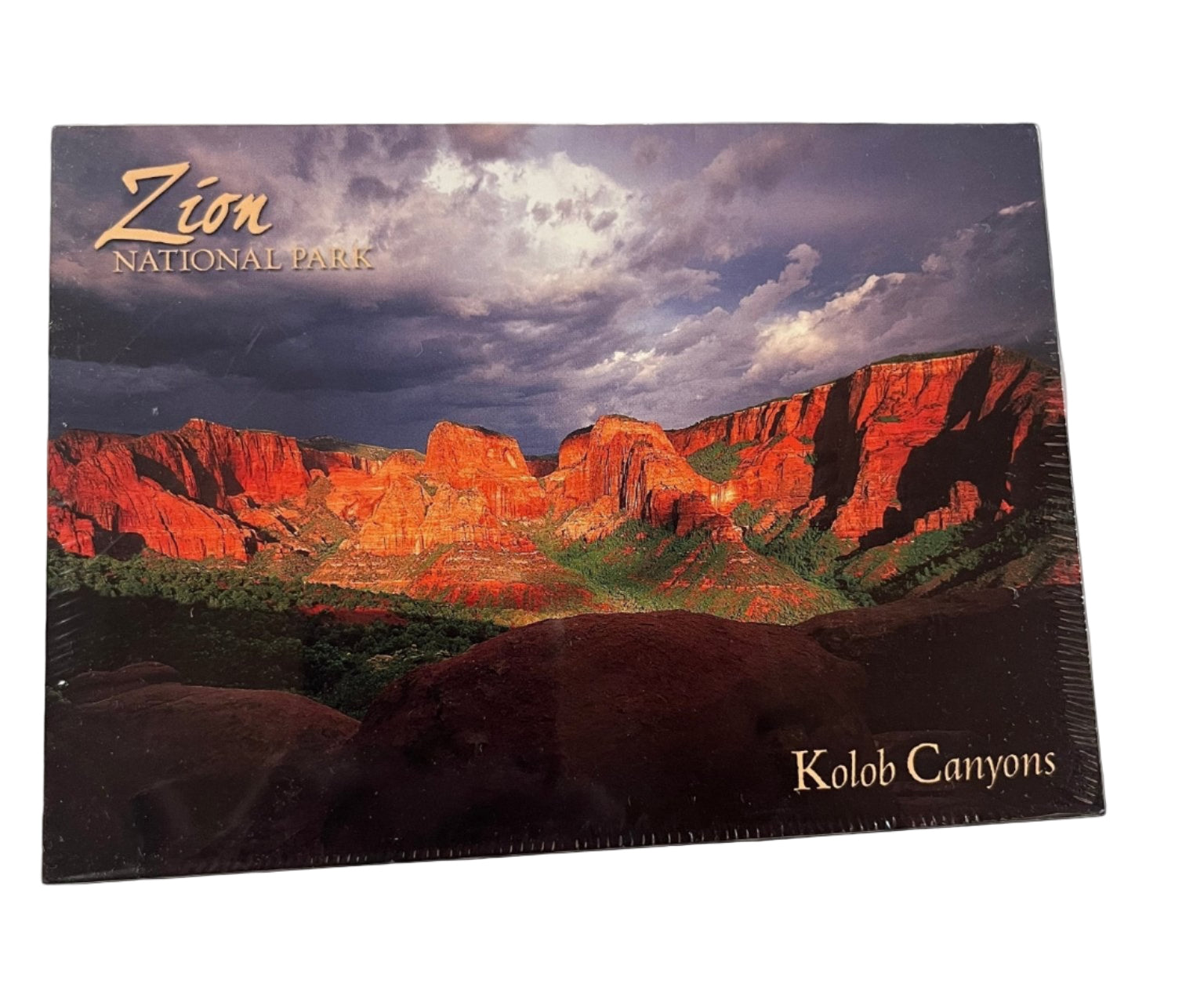Postcard - 4X6 Impact - Zion Natl Park Forever Project