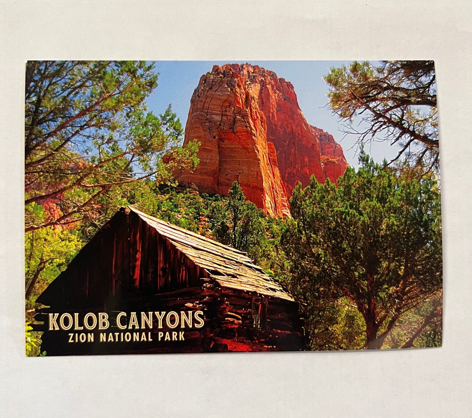 Postcard - 4X6 Impact - Zion Natl Park Forever Project
