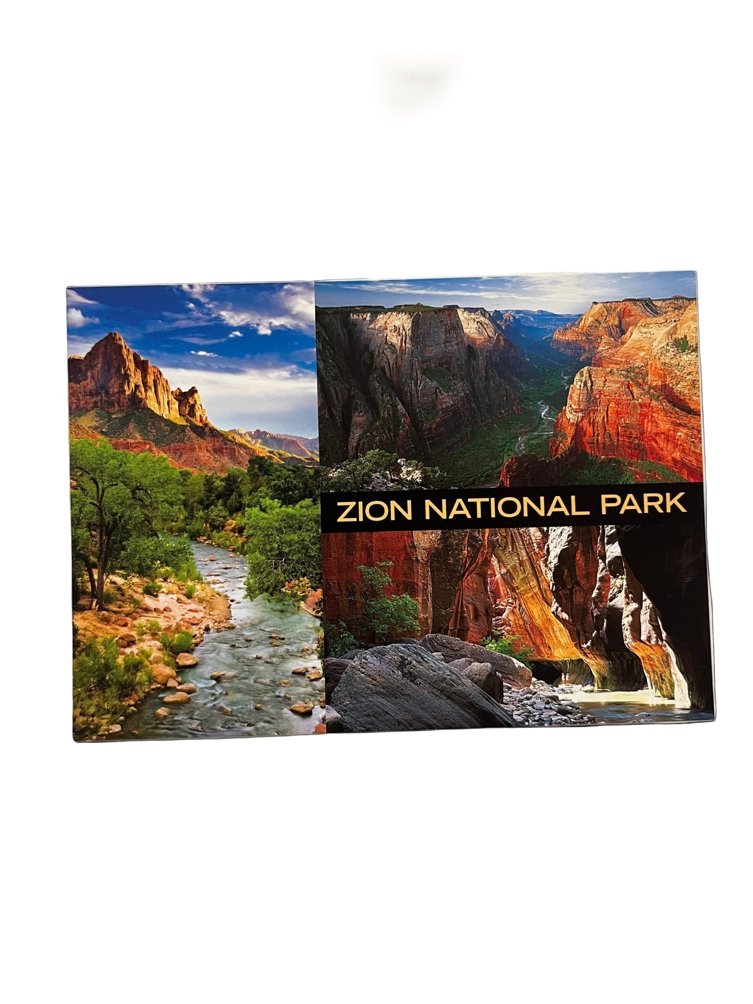 Postcard - 4X6 Impact - Zion Natl Park Forever Project