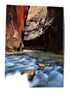 Postcard - 4X6 Impact - Zion Natl Park Forever Project
