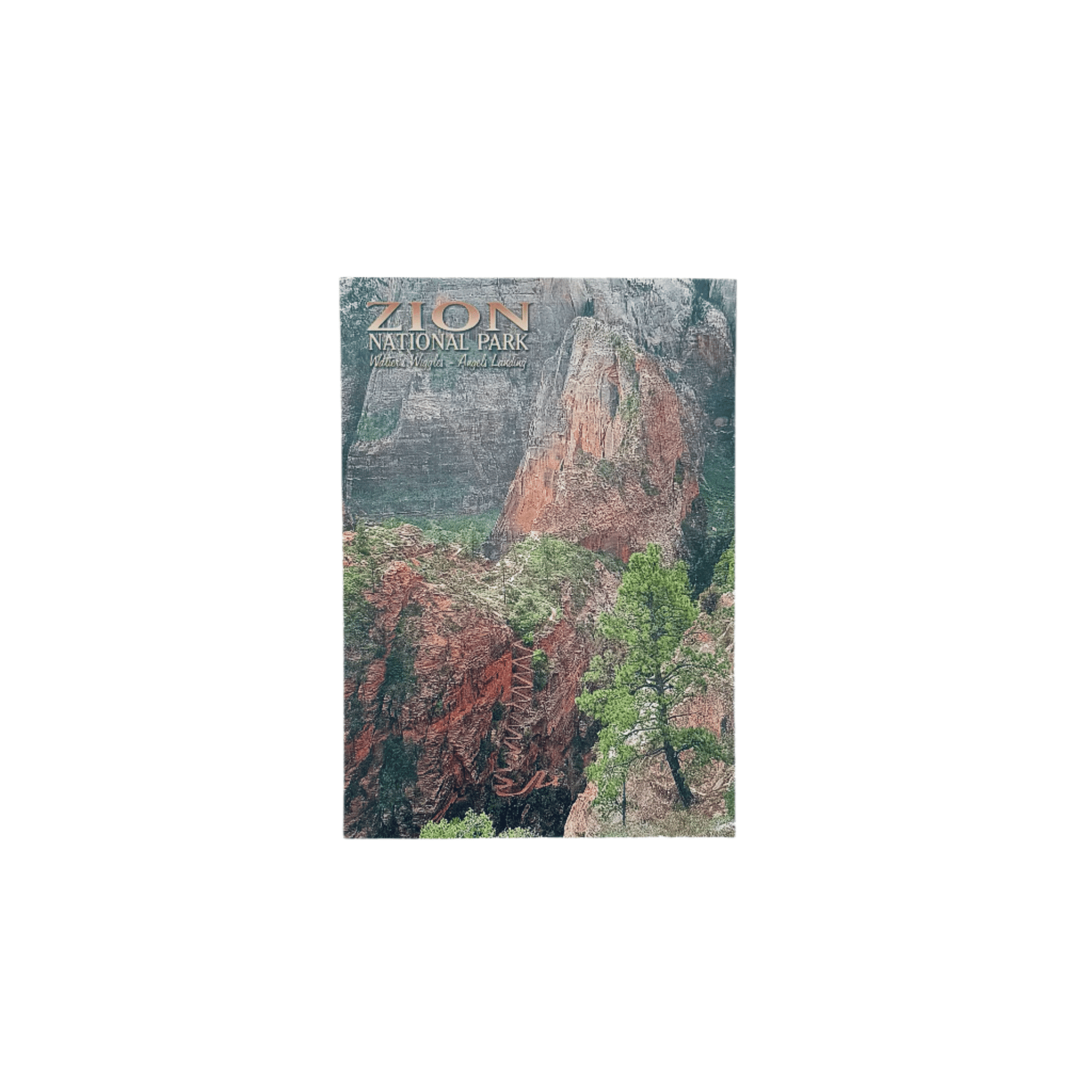 Postcard - 4X6 Impact - Zion Natl Park Forever Project