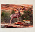 Postcard - 4X6 Impact - Zion Natl Park Forever Project