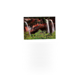 4x6 Impact Photographics postcard featuring a vibrant design, suitable for mailing or decorative display.