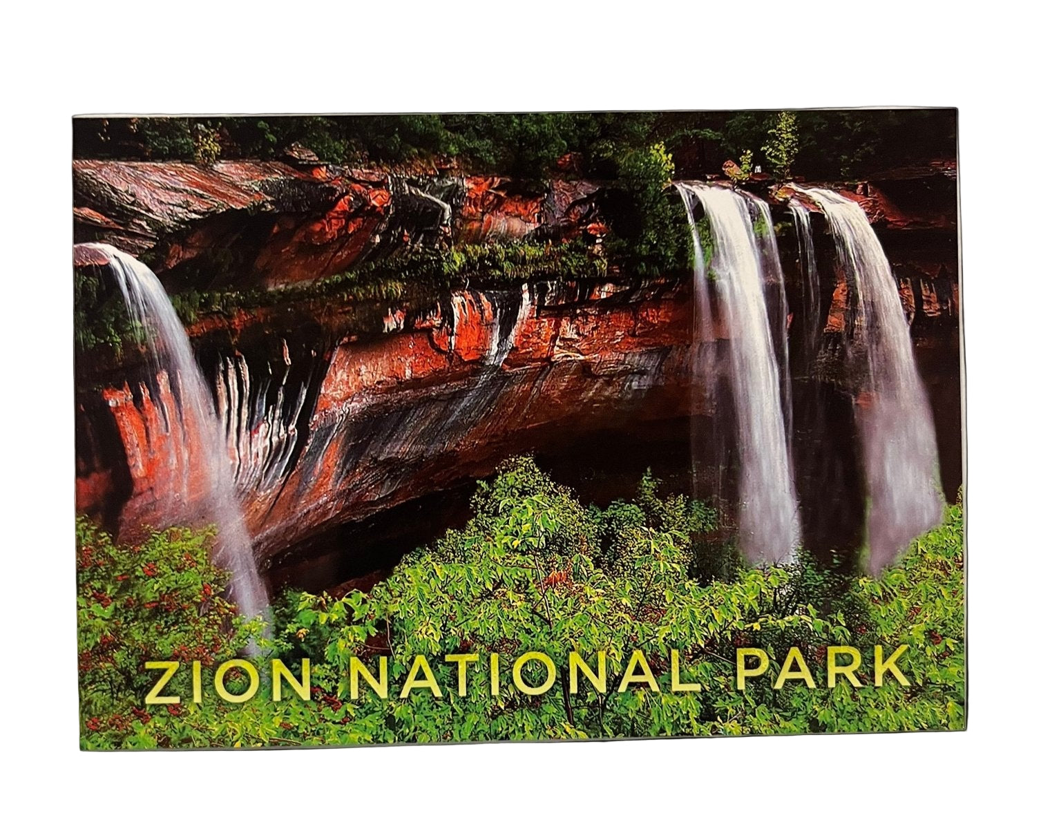 Postcard - 4X6 Impact - Zion Natl Park Forever Project