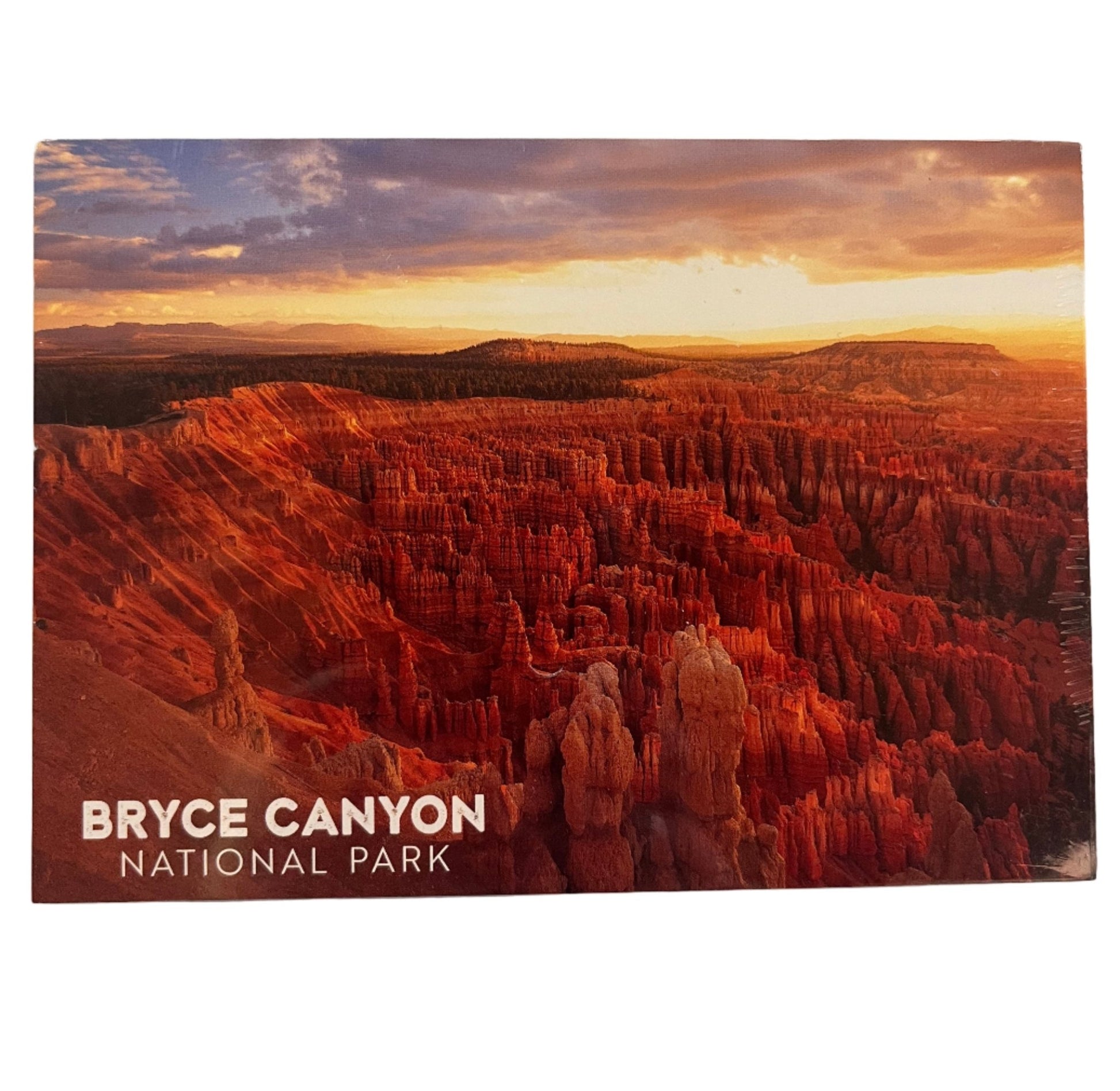 Postcard - 4X6 Impact - Zion Natl Park Forever Project