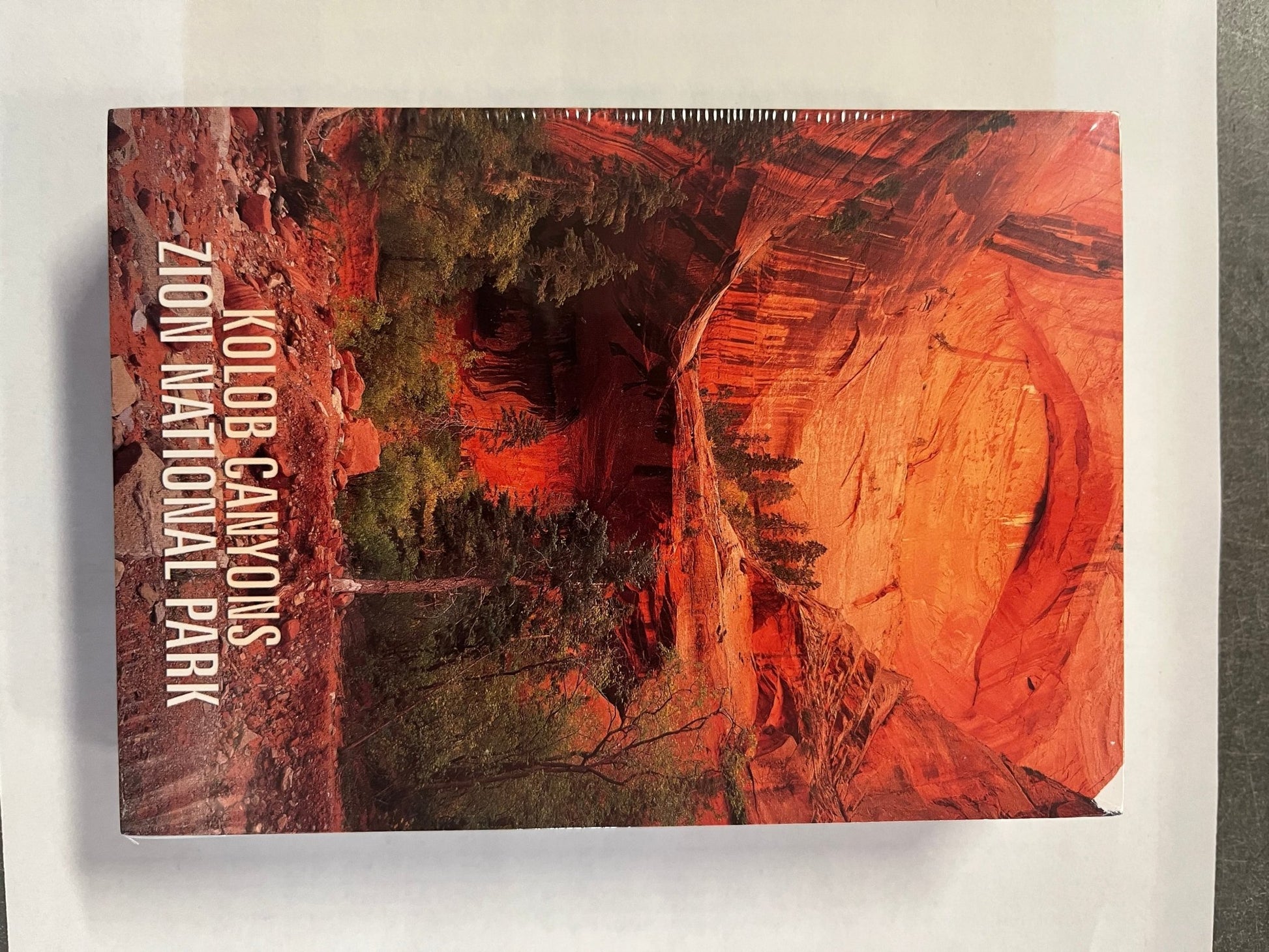 Postcard - 4X6 Impact - Zion Natl Park Forever Project