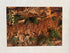 Postcard - 4X6 Impact - Zion Natl Park Forever Project