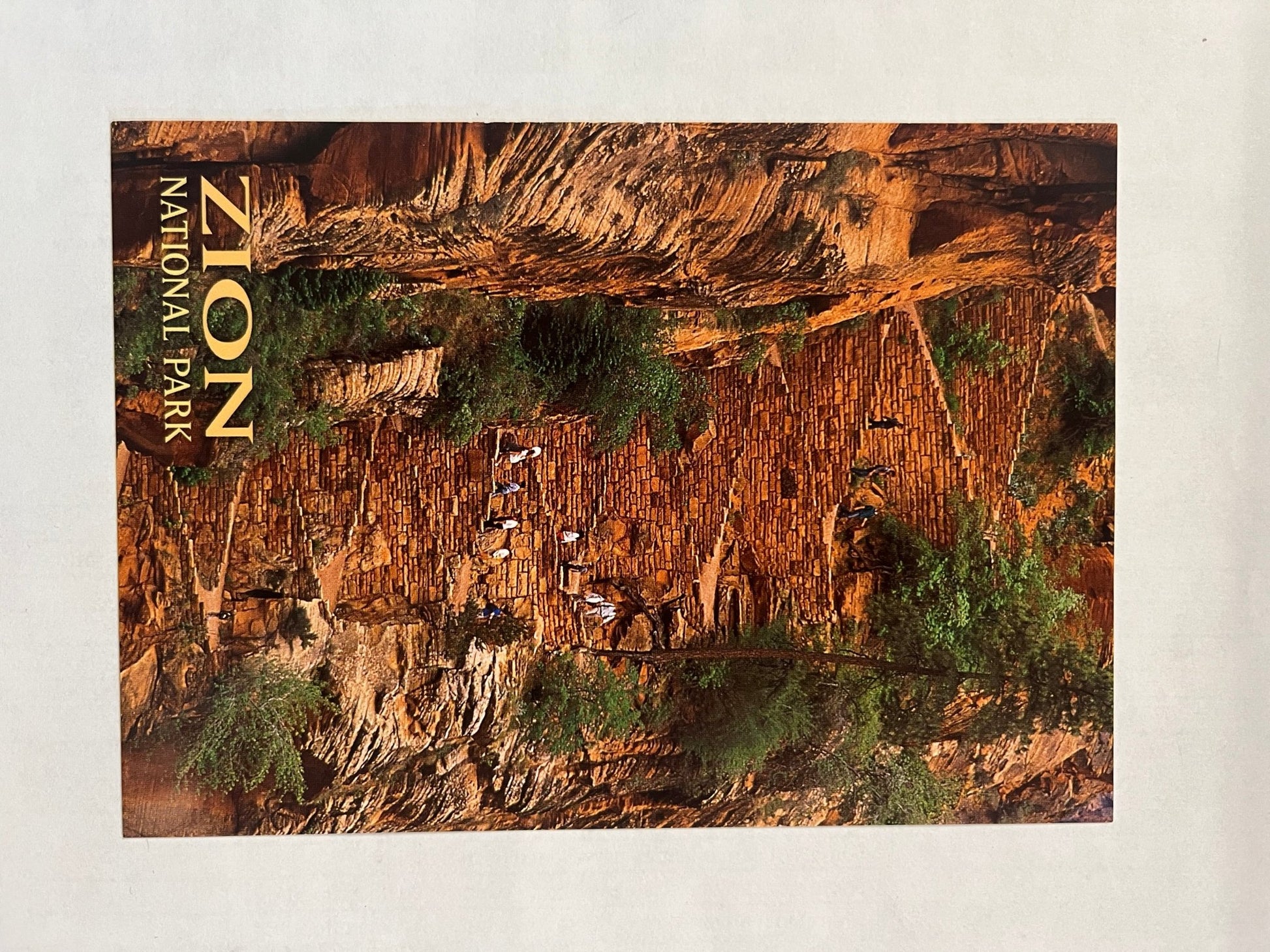 Postcard - 4X6 Impact - Zion Natl Park Forever Project