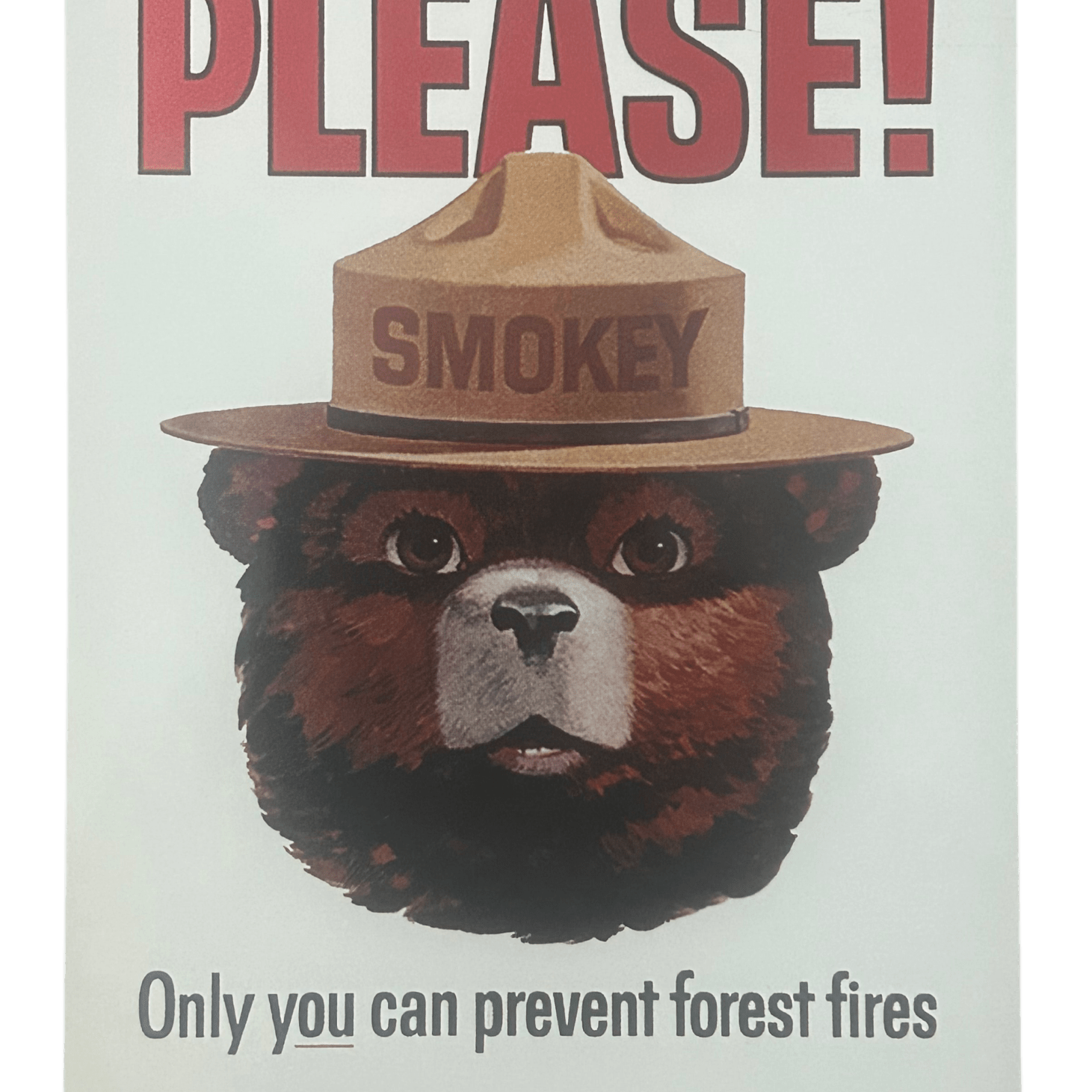 Postcard - 4X6 Smokey Bear 47221-46 - Zion Natl Park Forever Project
