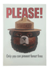 Postcard - 4X6 Smokey Bear 47221-46 - Zion Natl Park Forever Project
