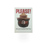 4x6 Smokey Bear postcard in VA style by Impact Photographics, featuring Smokey Bear illustration on a vintage-inspired postcard.