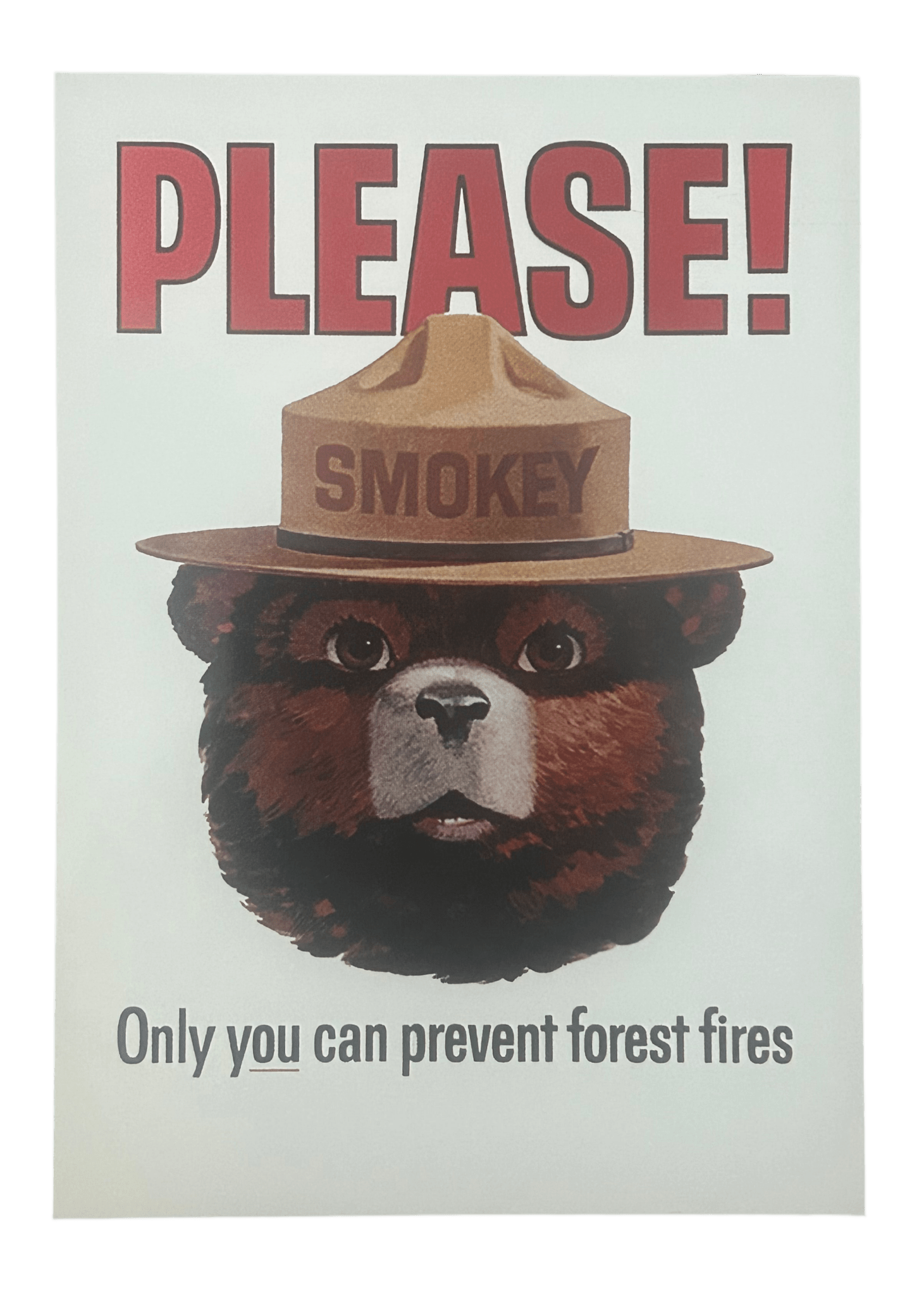 Postcard - 4X6 Smokey Bear 47221-46 - Zion Natl Park Forever Project