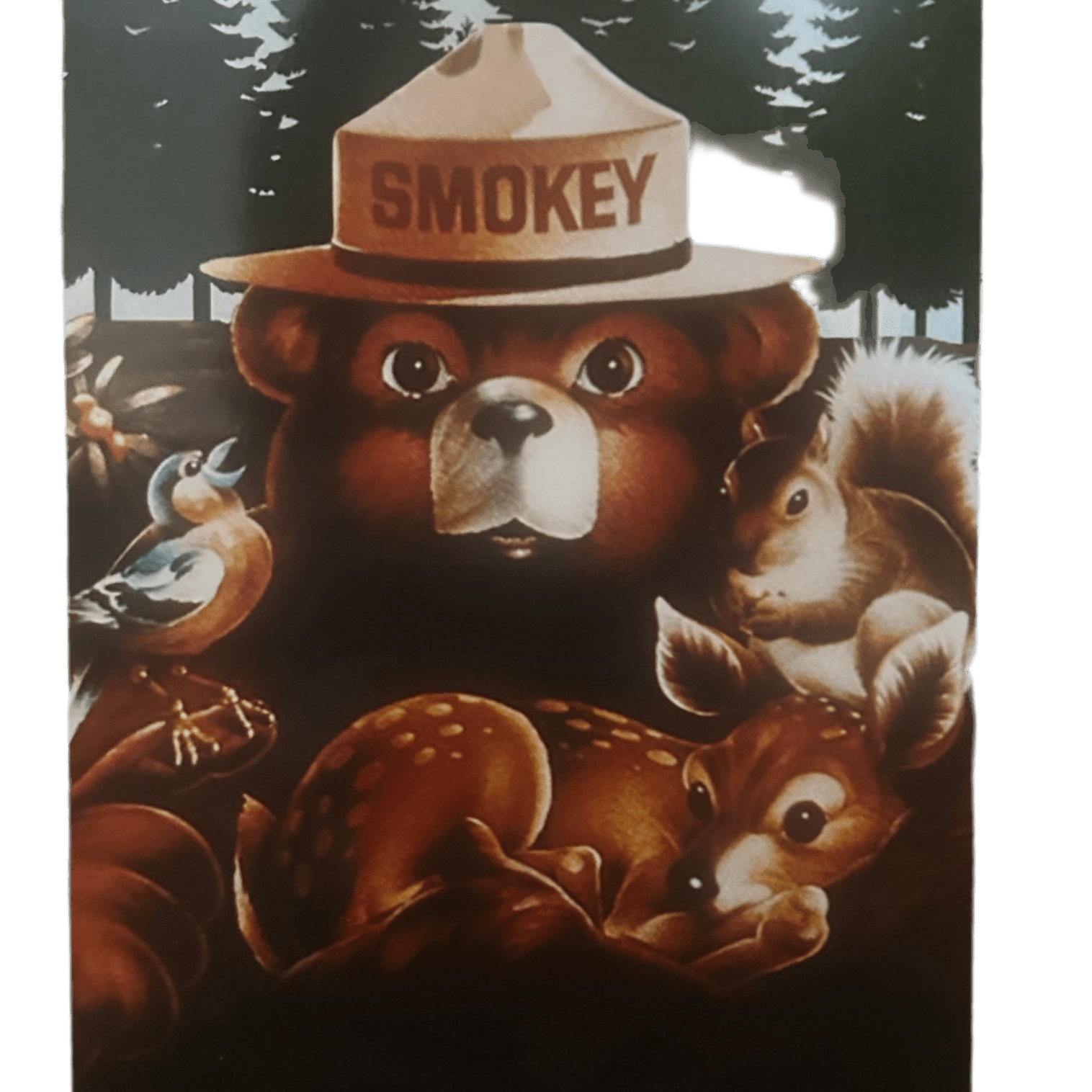 Postcard - 4X6 Smokey Bear and Friends 47220-46 CEBR PV - Zion Natl Park Forever Project