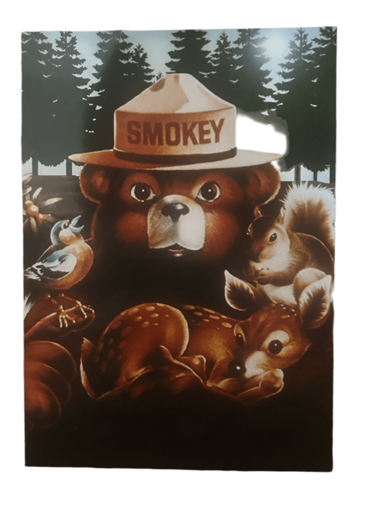 Postcard - 4X6 Smokey Bear and Friends 47220-46 CEBR PV - Zion Natl Park Forever Project