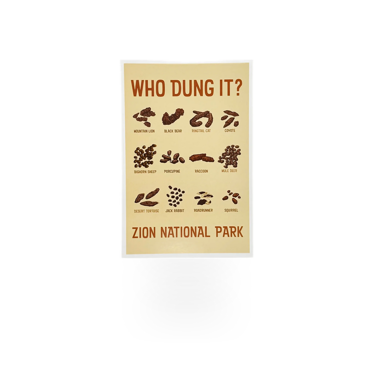 Vintage Lantern Press postcard titled "Who Dung It?" featuring humorous artwork, with a colorful illustration on high-quality paper.