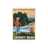 Smokey Bear poster by Impact Photographics featuring Smokey Bear illustration on paper, suitable for framing or wall display.