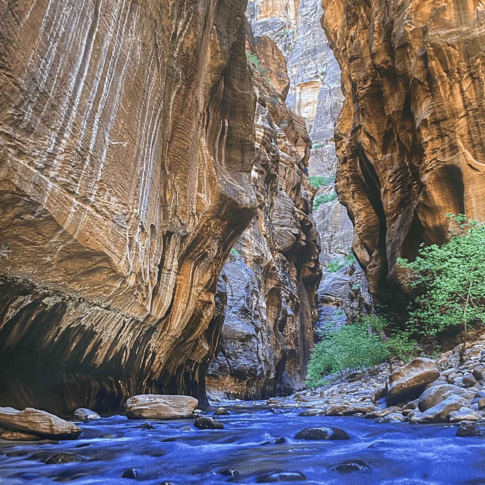Poster - Turville Lower Narrows - D - Zion Natl Park Forever Project