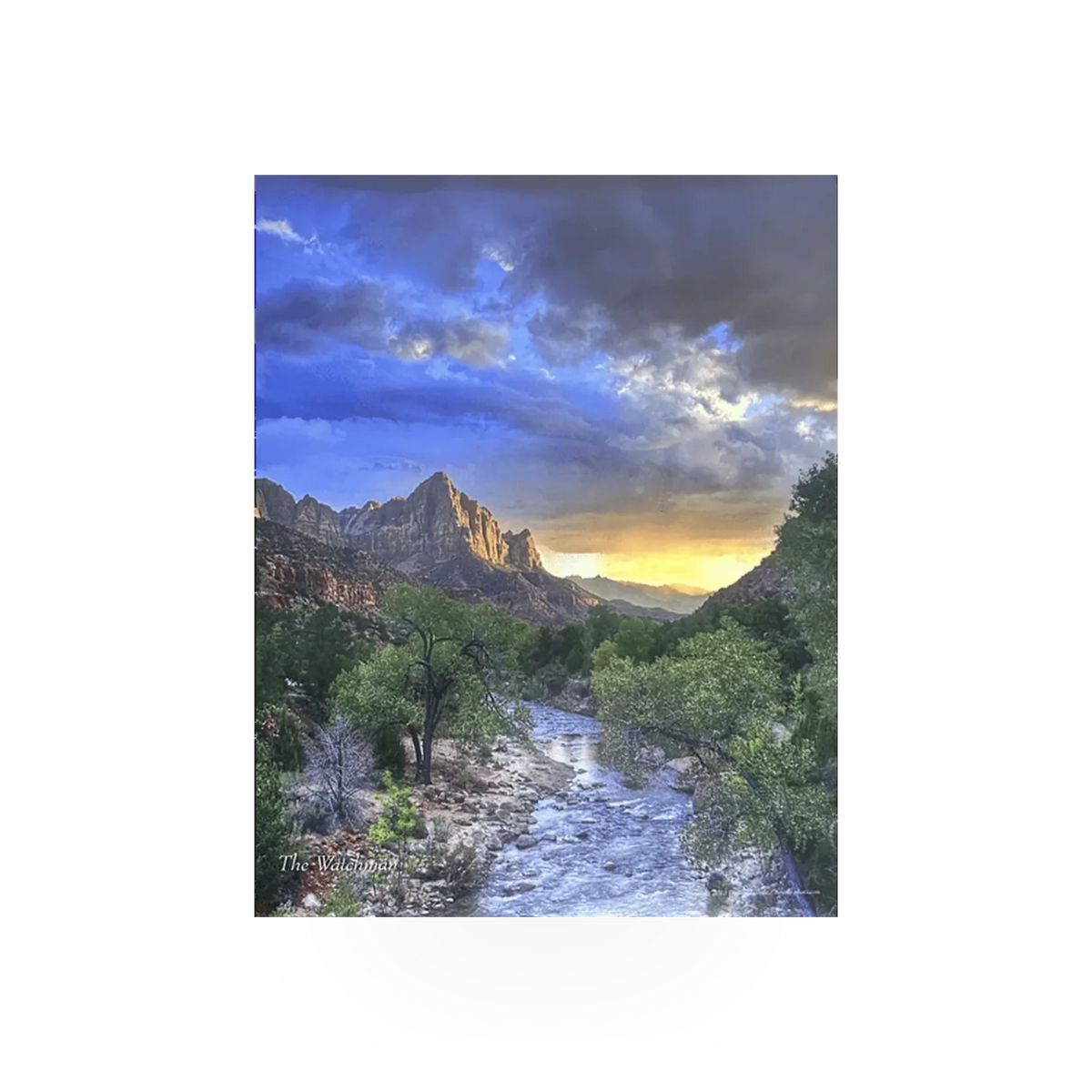 Turville Watchman D poster by Turville & Accomplices featuring detailed artwork of a watchman character on a vibrant background