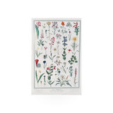 Utah Native Plant Society poster showcasing colorful Utah wildflowers in a natural botanical illustration style