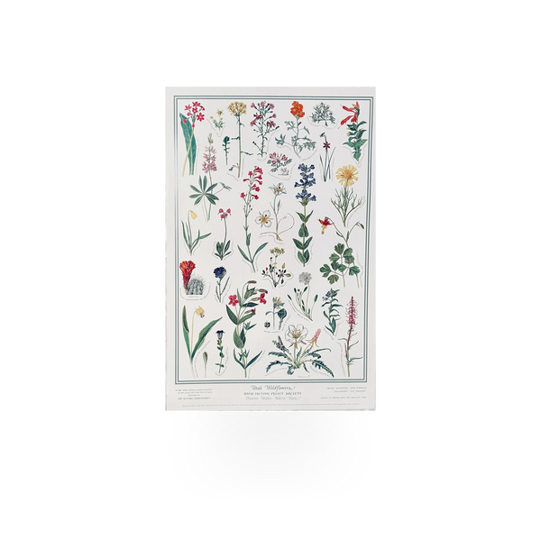 Utah Wildflowers poster by Utah Native Plant Society featuring colorful illustrations of native Utah wildflower species.