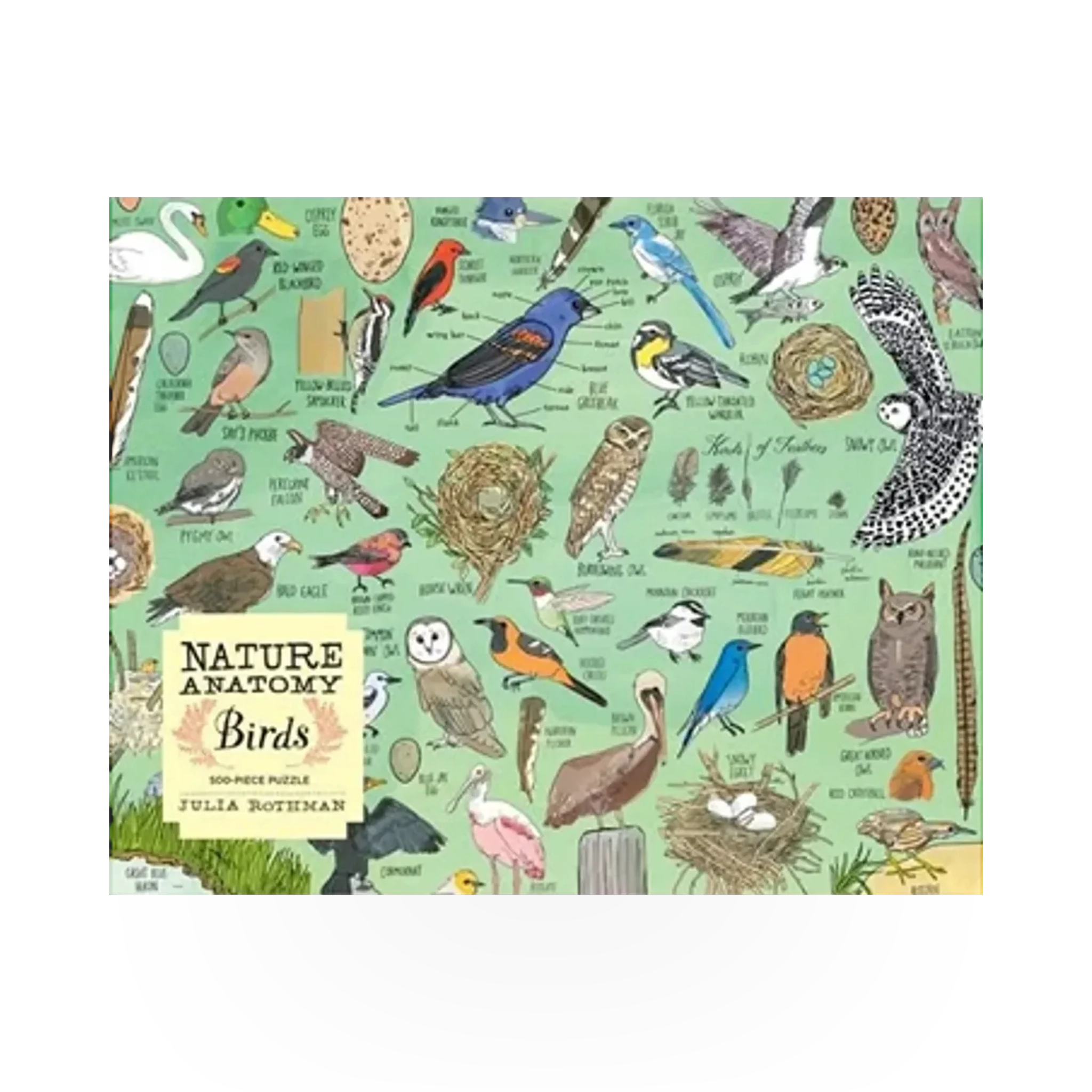 Puzzle featuring detailed illustrations of various bird species from the Nature Anatomy Birds collection by Hachette Book Group USA.