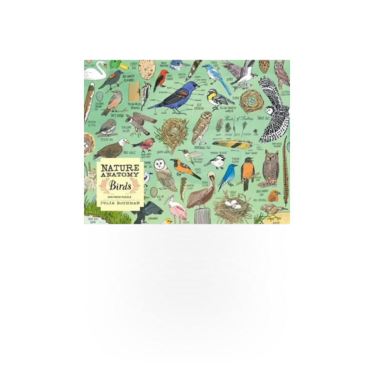 Puzzle featuring detailed illustrations of various bird species from the Nature Anatomy Birds collection by Hachette Book Group USA.