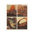 Fabric - Prints 4 Panel Set - Zion Natl Park Forever Project