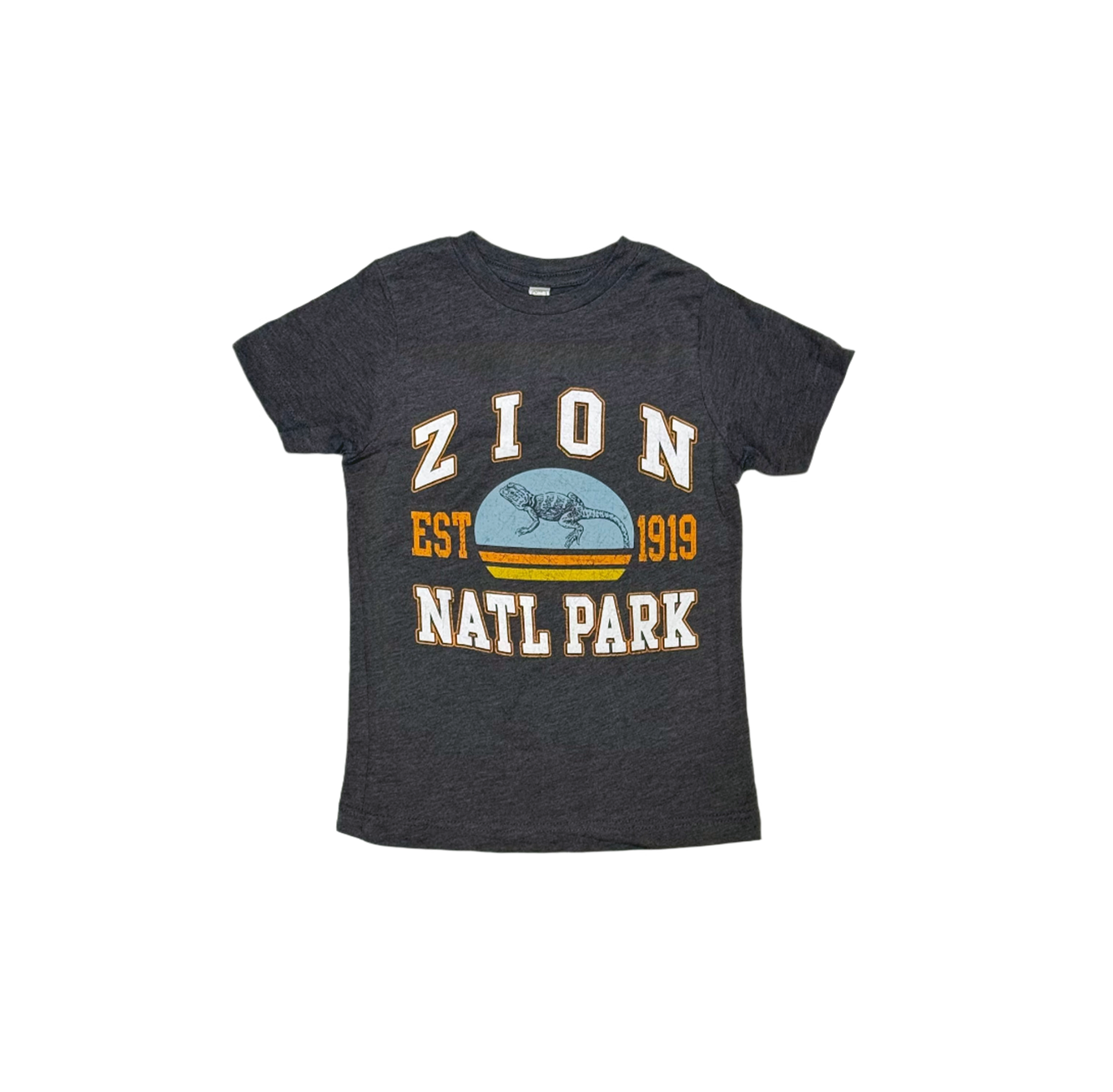 Tshirt - Yth Vintage Athletic Lizard - Zion Natl Park Forever Project