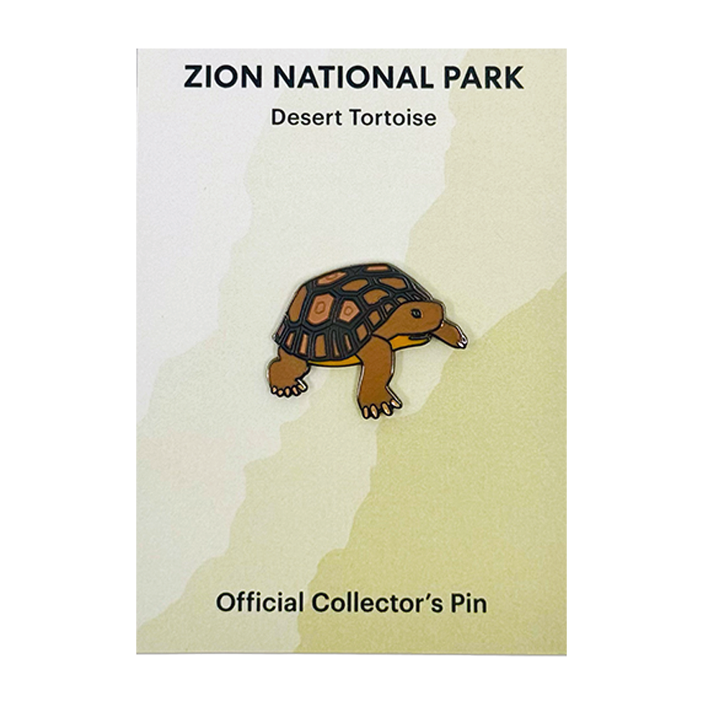 Pin - Animal - Desert Tortoise - Zion Natl Park Forever Project