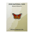Pin - Animal - Monarch Butterfly - Zion Natl Park Forever Project