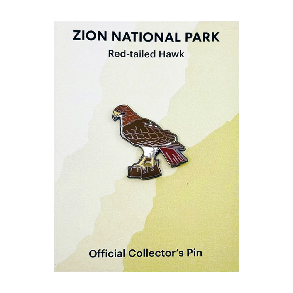 Pin - Animal - Red Tailed Hawk - Zion Natl Park Forever Project