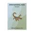 Pin - Animal - Scorpion - Zion Natl Park Forever Project