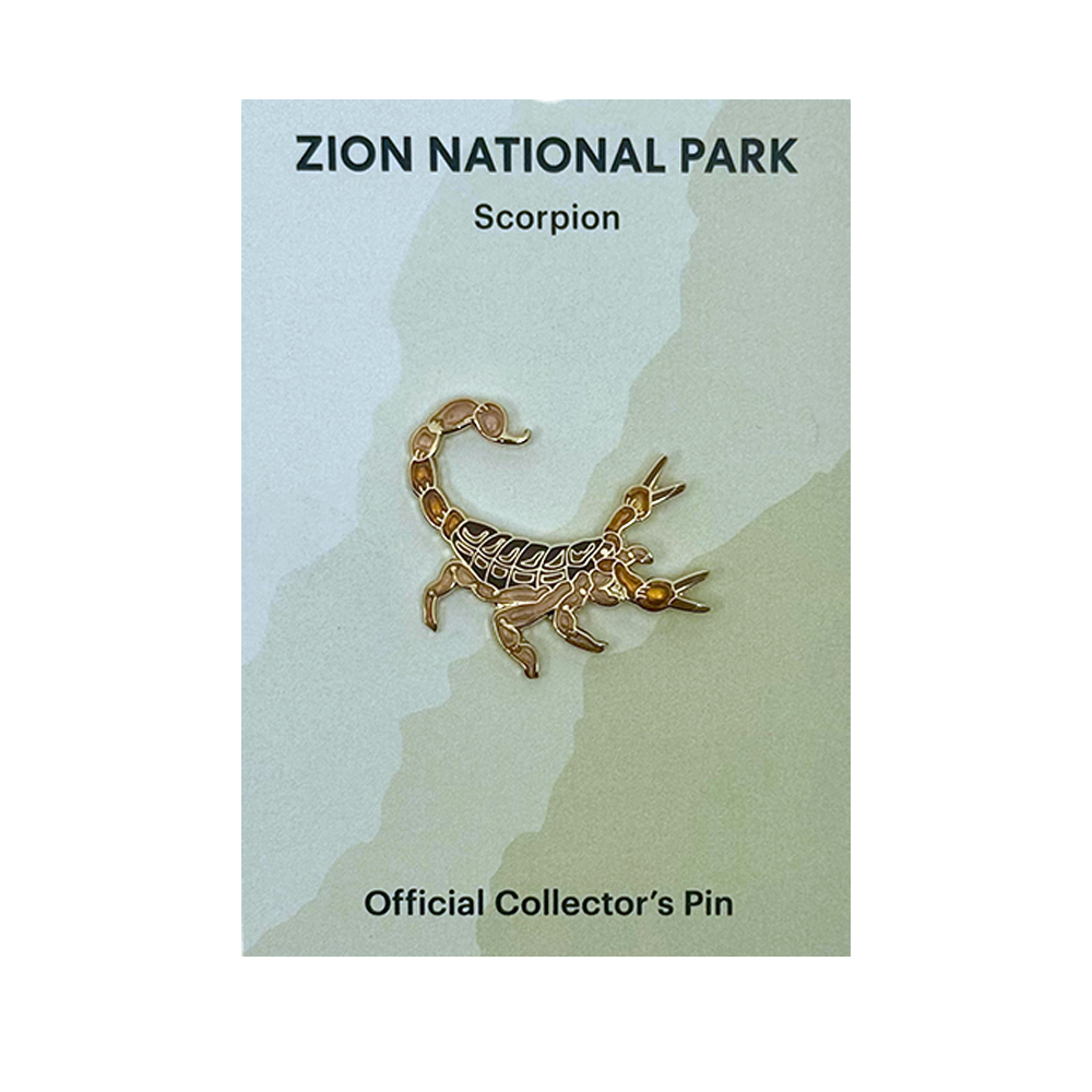 Pin - Animal - Scorpion - Zion Natl Park Forever Project