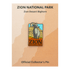 Pin - Checkerboard Bighorn - Zion Natl Park Forever Project