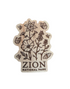 Magnet - Wood Pollinator Zion - Zion Natl Park Forever Project