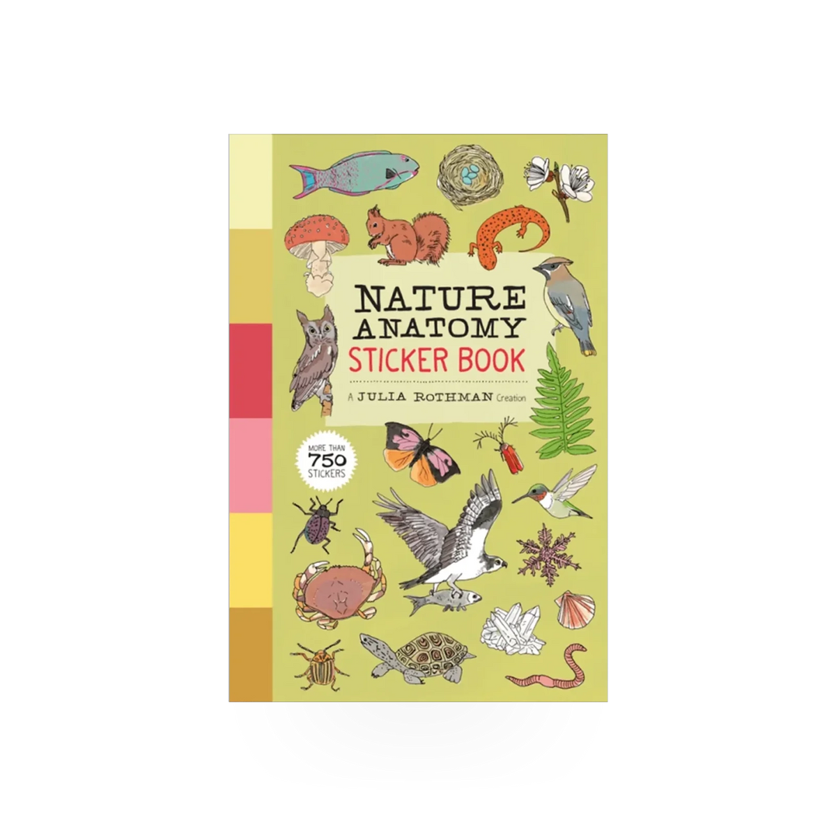Nature Anatomy sticker book by Hachette Book Group USA featuring colorful nature-themed stickers on a white background.