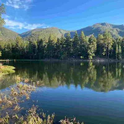 Dixie National Forest
