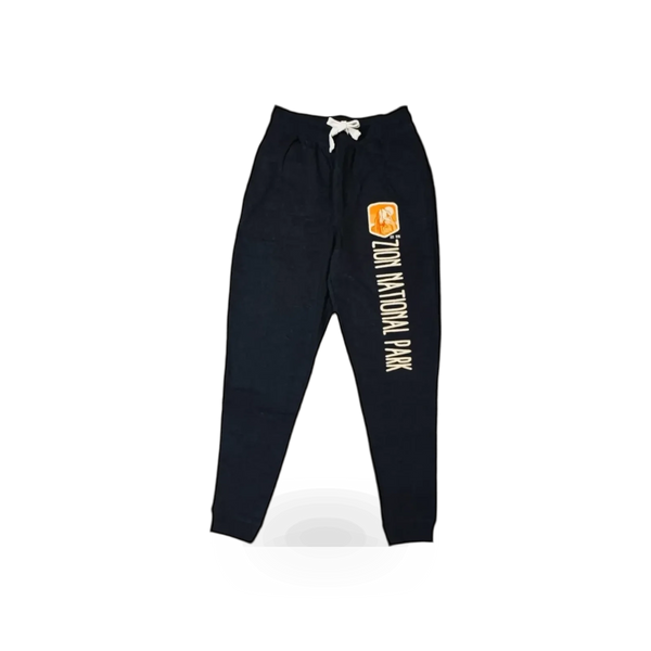 RMR Designs Zion NP sweatpant in charcoal heather, casual fit with elastic waistband and relaxed style for comfortable wear.