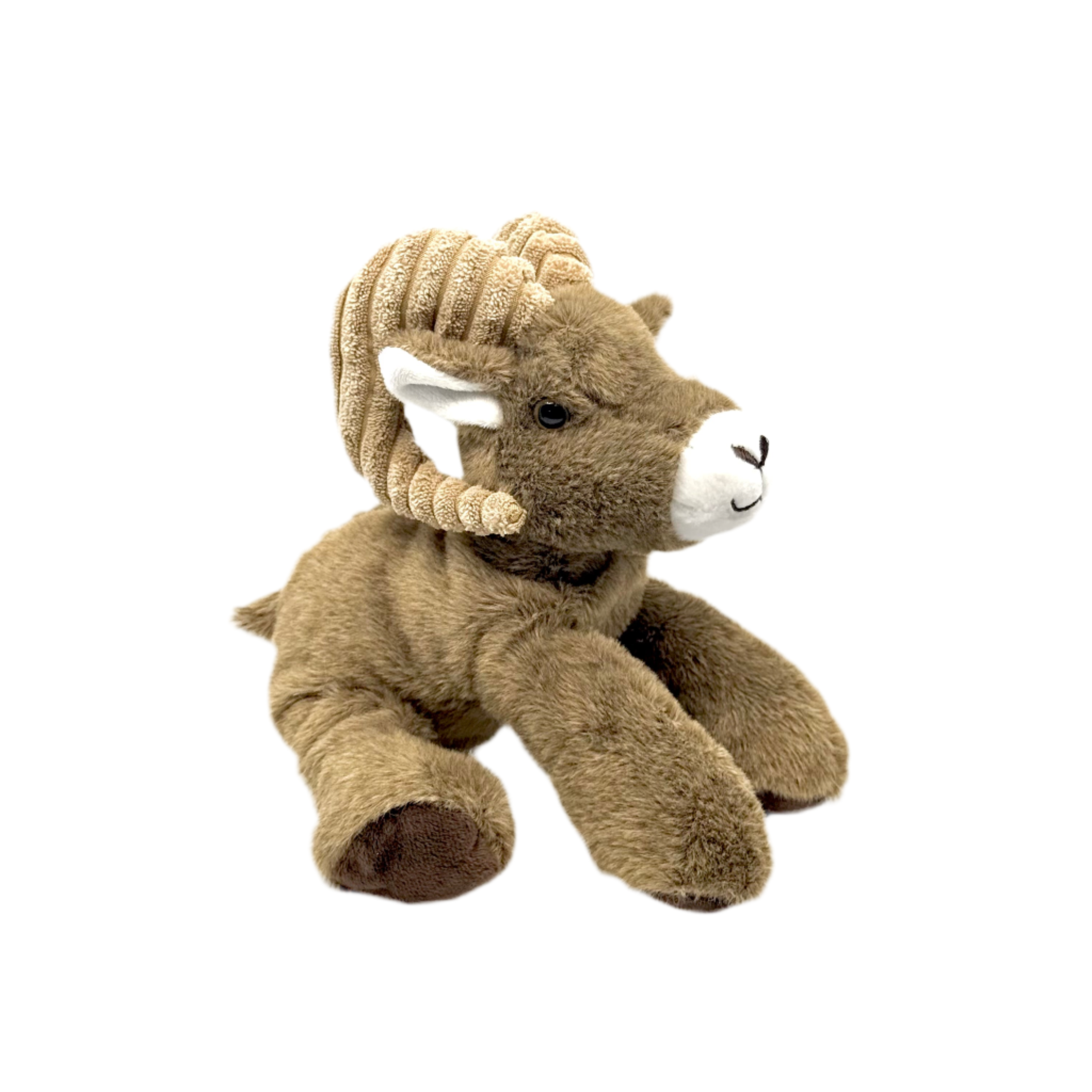 Plush - Bighorn - Zion Natl Park Forever Project