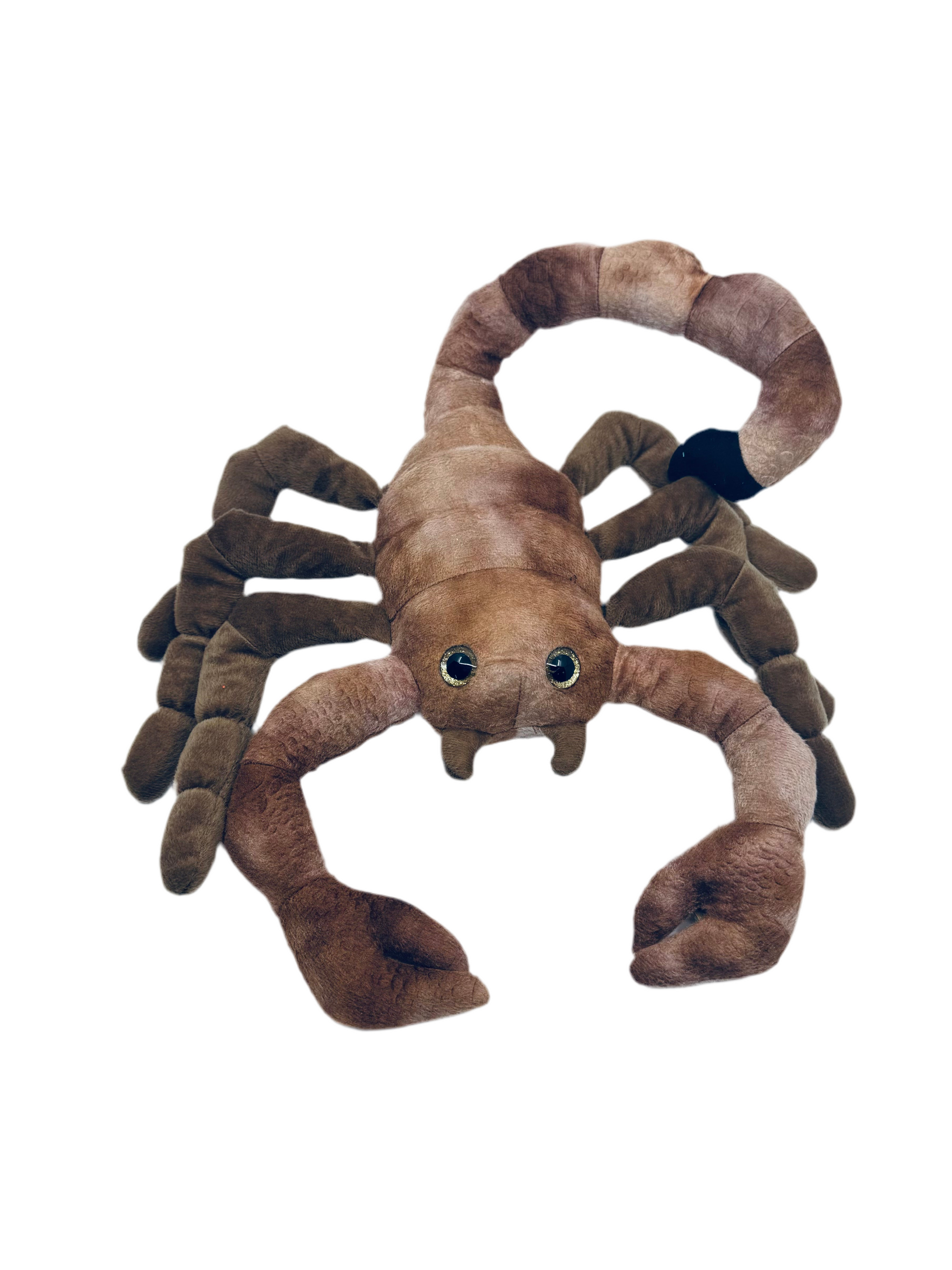 Plush - Scorpion - Wild Onez - Zion Natl Park Forever Project