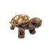 Plush - Desert Tortoise - Zion Natl Park Forever Project
