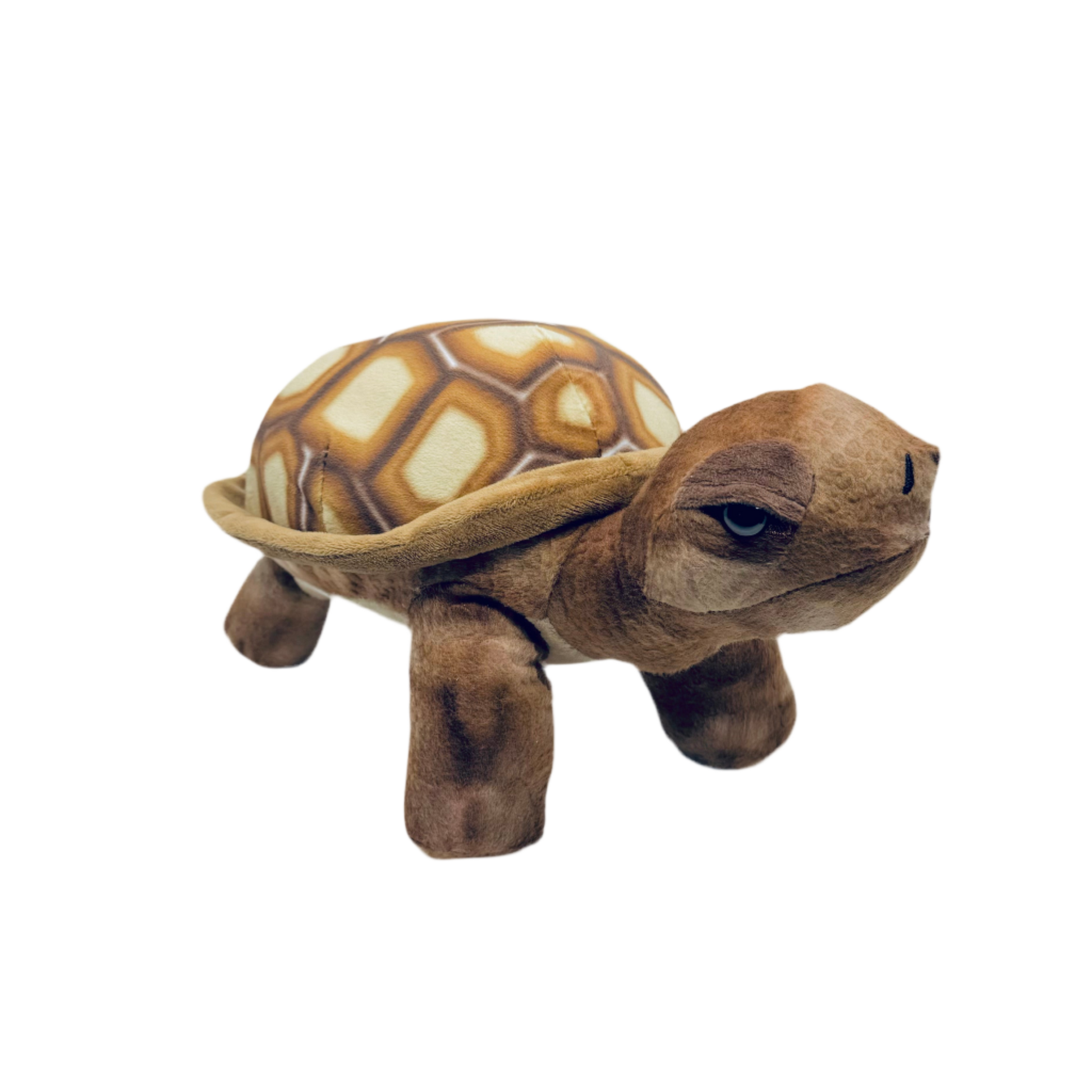 Plush - Desert Tortoise - Zion Natl Park Forever Project