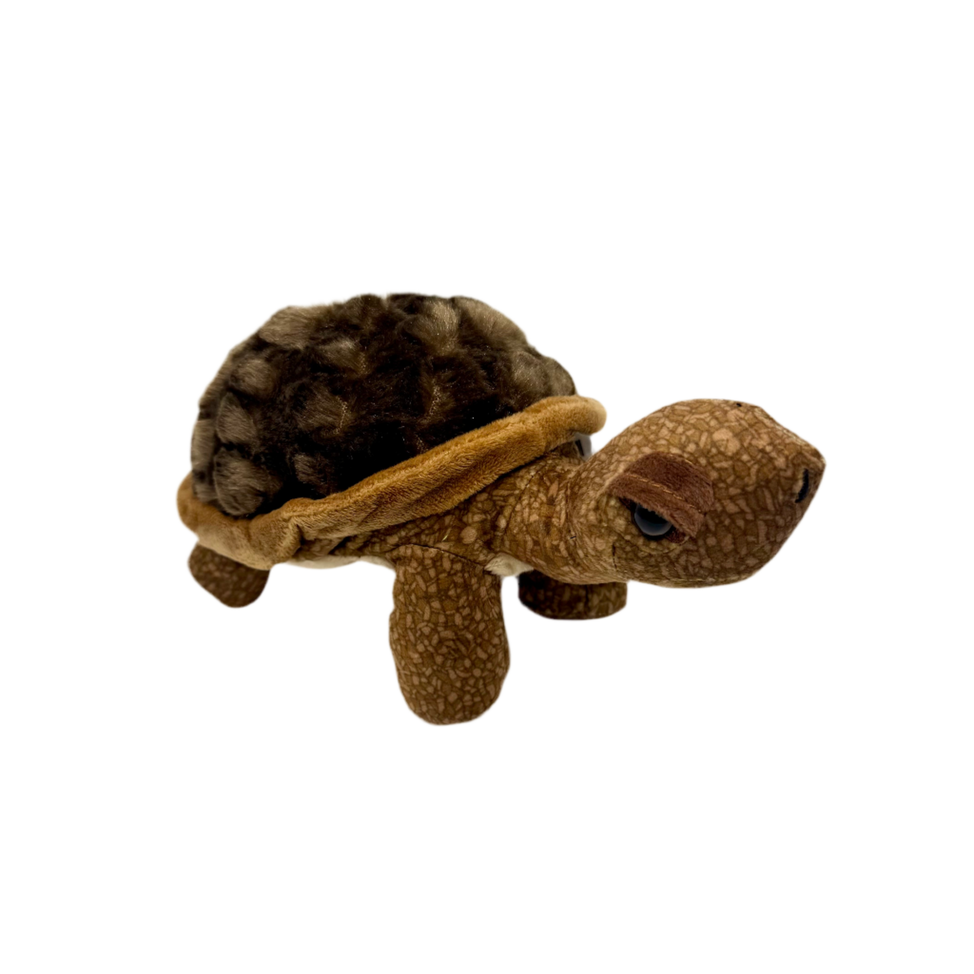 Plush - Desert Tortoise - Zion Natl Park Forever Project