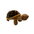 Plush - Desert Tortoise - Zion Natl Park Forever Project